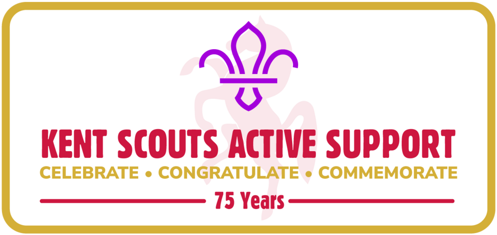Scout Active Support - The Big Challenge Afternoon