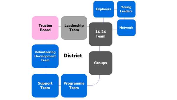District Team Structure