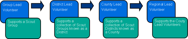 dlv_management_structure
